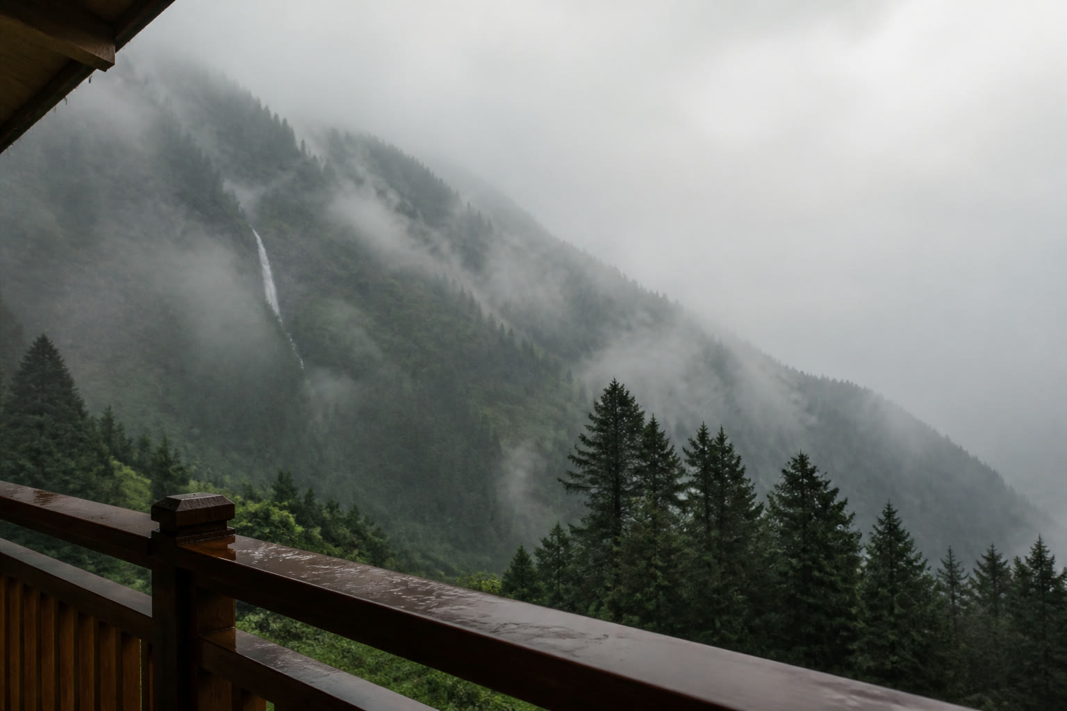 A rain-wet balcony overlooking fog, pine forest, and a waterfall in Manali